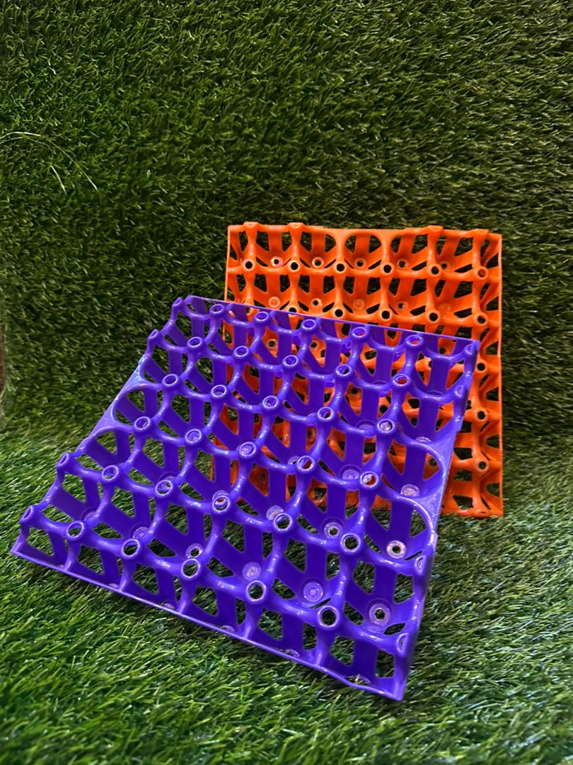 Alvéoles à œufs en plastique